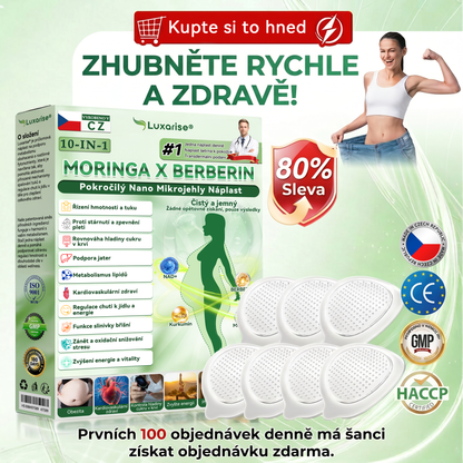 Oficiální obchod  |🍧𝗟𝘂𝘅𝗮𝗿𝗶𝘀𝗲® MORINGA X BERBERIN  10-IN-1 Pokročilý Nano Mikrojehly Náplast(Jedna náplast denně, viditelné změny již za 7 dní) ✅ Pomáhá při obezitě, cukrovce, spánkové apnoe, problémech s klouby a dalších potížích👩‍⚕️